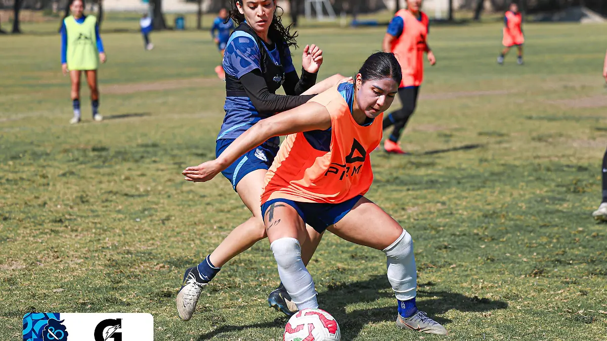 La Franja Femenil